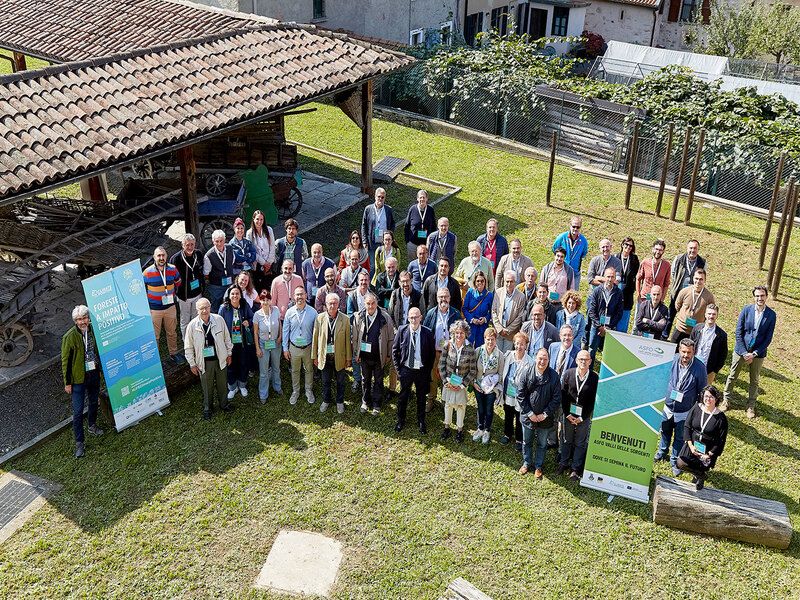 Misure a sostegno dell’avvio e del consolidamento di associazioni fondiarie forestali smart