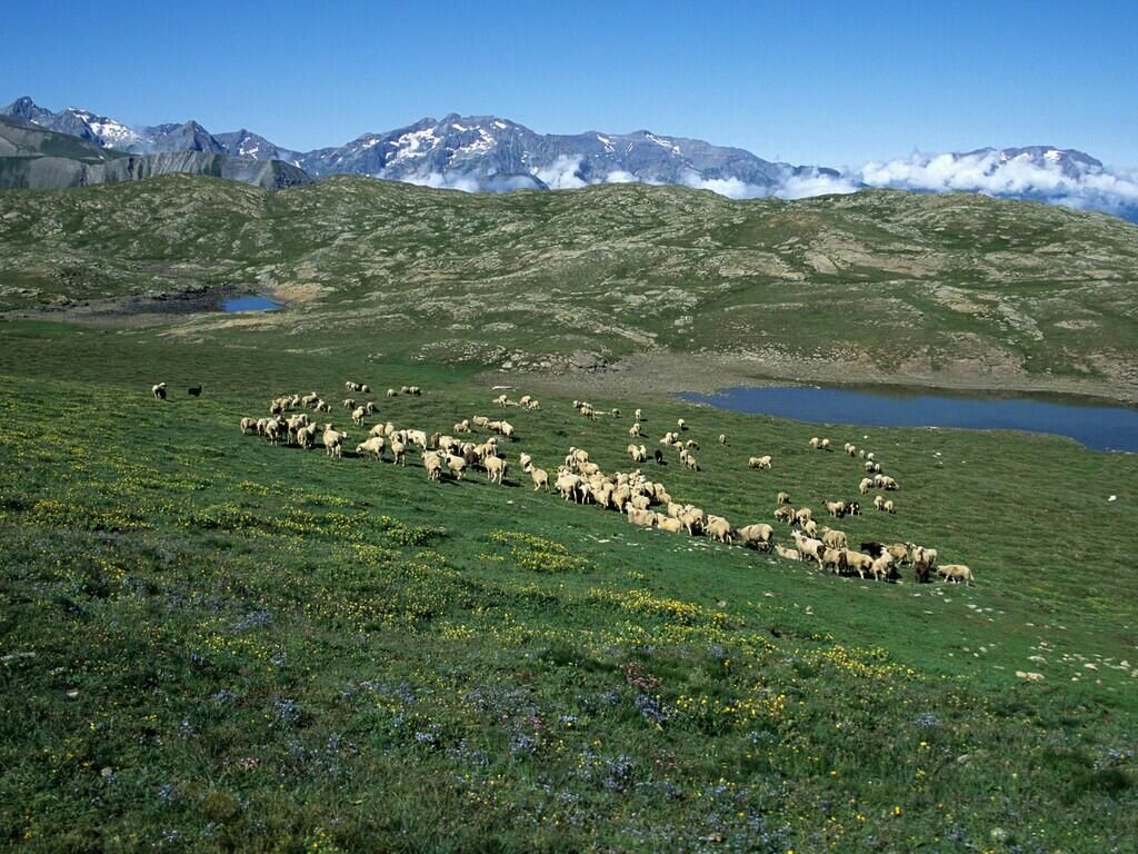 AD83/2025 - AFFIDAMENTO DIRETTO PER L' ACQUISIZIONE DEL SERVIZIO DI PRESTAZIONE PROFESSIONALE PER LA FORMAZIONE “DALLA COMPLESSITA' DELLA BIODIVERSITA' ALLA SEMPLICITA' DELLA NOTIZIA” NELLE GIORNATE STUDIO “COMUNICARE LA BIODIVERSITA' CON I NUOVI MEDIA” - TASK.6.1 - 101104366 LIFE22-IPN-IT-LIFE NATCONNECT2030. APPROVAZIONE DEGLI ATTI, ACCERTAMENTO E ASSUNZIONE IMPEGNO DI SPESA A FAVORE DI VALERIA BARBI, CUP E86C23000610006, CIG B80A954FD9