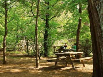 Fec 14/2026 - Acquisizione della fornitura in opera per miglioramento ambientale degli habitat di Moretta, Moretta tabaccata e Moriglione nell’anno 2026