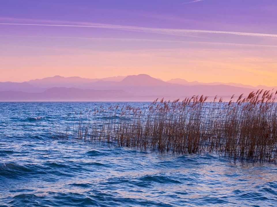 BANDO PER L’ASSEGNAZIONE DI CONTRIBUTI A ENTI PUBBLICI PER LA REALIZZAZIONE DI INTERVENTI DI TUTELA E RISANAMENTO DELLE ACQUE LACUSTRI