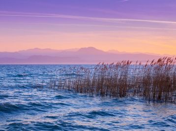 BANDO PER L’ASSEGNAZIONE DI CONTRIBUTI A ENTI PUBBLICI PER LA REALIZZAZIONE DI INTERVENTI DI TUTELA E RISANAMENTO DELLE ACQUE LACUSTRI