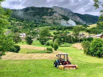 PSN/PAC 2023-2027 “Formazione imprenditori agricoli, addetti imprese operanti settori agricoltura, zootecnia, industrie alimentari e altri soggetti privati e pubblici funzionali allo sviluppo delle aree rurali" - Sviluppo Rurale/bando 2026