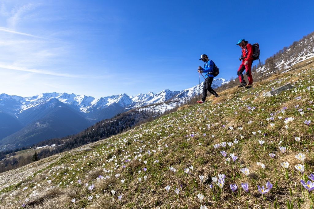 Bando "Itinerari ed eventi inLombardia 2026"