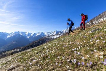 Bando "Itinerari ed eventi inLombardia 2026"