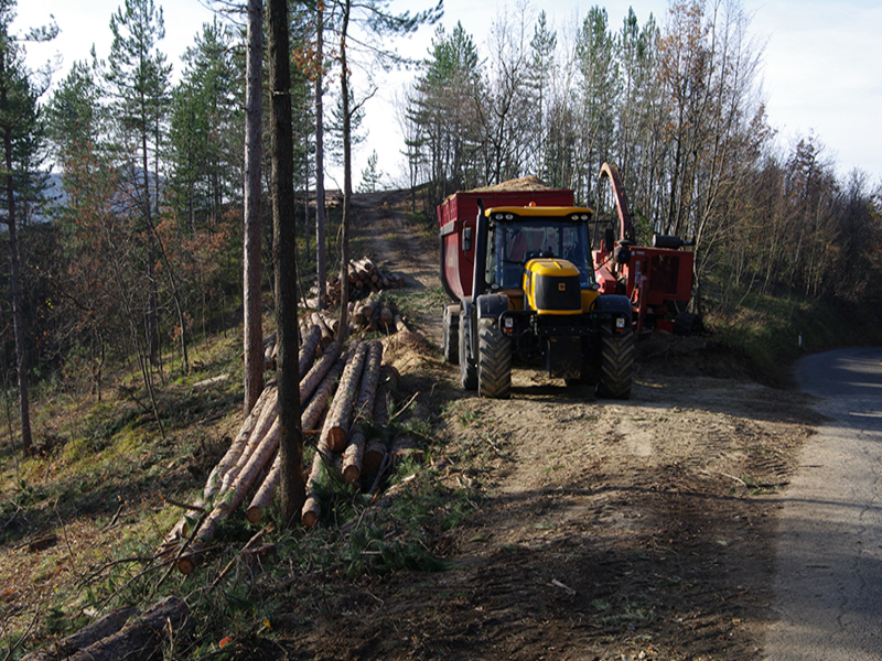 L.r. 31/2008, art. 26. Domande dal 17 luglio all'8 settembre 2025. Possono partecipare: Enti pubblici, Fondazioni e associazioni; Consorzi forestali riconosciuti; Enti o Associazioni di gestione di Beni collettivi e usi civici; Aziende private proprietarie di superfici forestali; Associazioni fondiarie. Risorse disponibili: 1.332.928,00 euro.