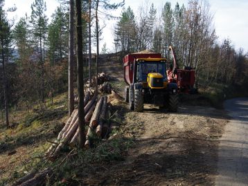 Sostegno alla pianificazione di assestamento forestale in attuazione della strategia forestale nazionale