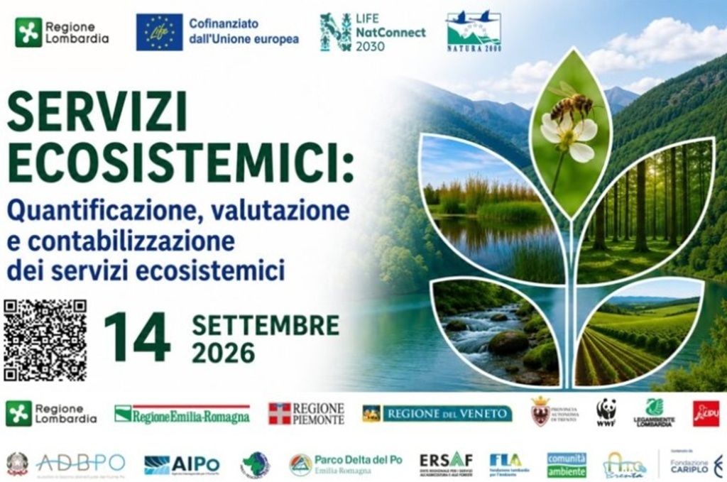AD100/2026 - AFFIDAMENTO DIRETTO PER SERVIZIO DI PRESTAZIONE PROFESSIONALE