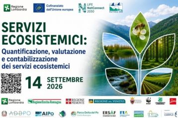 AD100/2026 - AFFIDAMENTO DIRETTO PER SERVIZIO DI PRESTAZIONE PROFESSIONALE