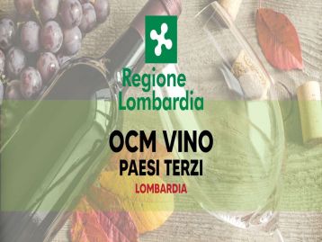 OCM Vino - Promozione del vino sui mercati dei Paesi terzi - campagna 2026/2027