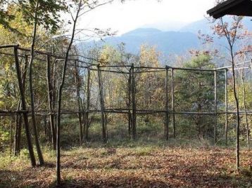 FEC 30/2025 - Servizi necessari alla partecipazione di Regione Lombardia alla fiera agricola zootecnica italiana di Montichiari – 24-26 ottobre 2025.