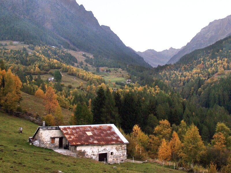 Misure di sostegno per interventi di costruzione, ristrutturazione,  ammodernamento, recupero e manutenzione straordinaria  impianti e attrezzature per allevamenti zootecnici in aree  montane - Edizione 2026