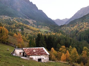 Misure di sostegno per interventi di costruzione, ristrutturazione,  ammodernamento, recupero e manutenzione straordinaria  impianti e attrezzature per allevamenti zootecnici in aree  montane - Edizione 2026