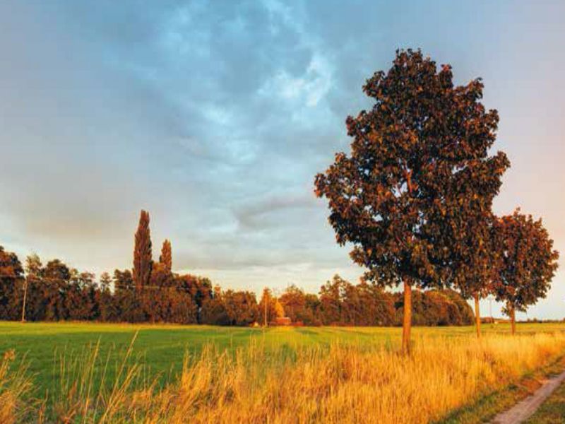 Contributi economici per la ricomposizione fondiaria delle aree agricole lombarde