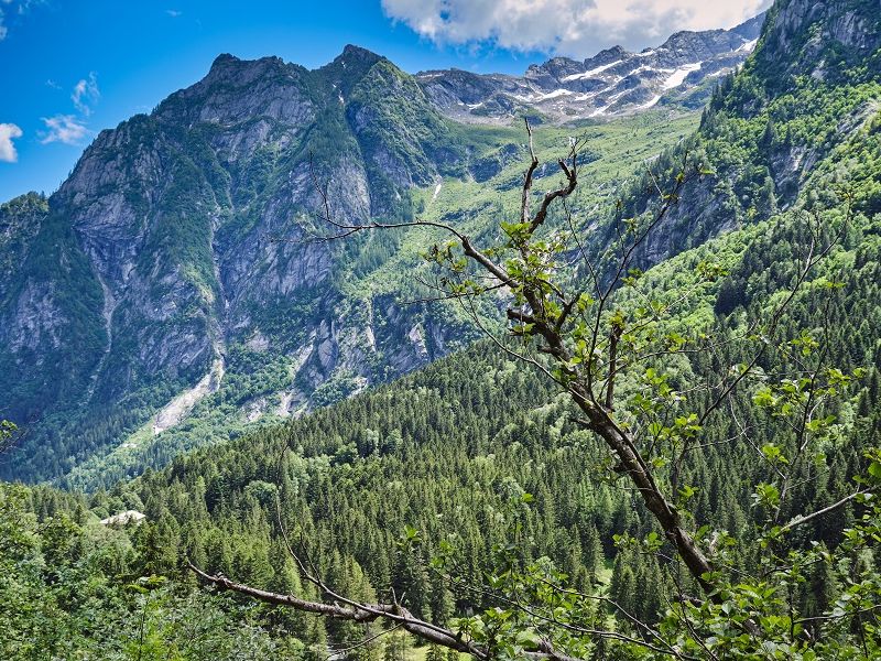 Bando contributi regionali alle Comunità Montane e ai Comuni che svolgono indagini funzionali all’accertamento degli usi civici - 2026