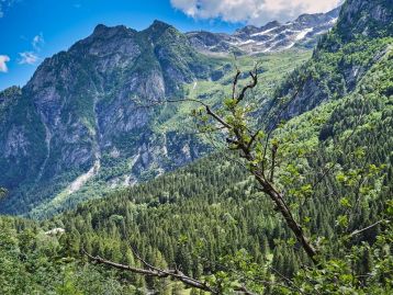 Bando contributi regionali alle Comunità Montane e ai Comuni che svolgono indagini funzionali all’accertamento degli usi civici - 2026