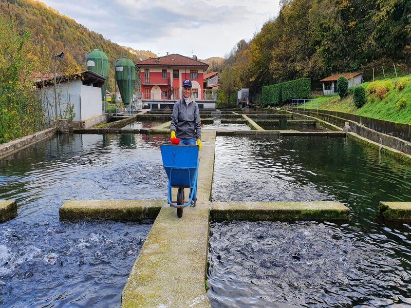 Promuovere la commercializzazione, la  qualità e il valore aggiunto dei prodotti della pesca e dell'acquacoltura e la trasformazione di questi prodotti