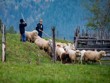 Concorso Scolastico - Pastoralismo, alpeggio e transumanza – III edizione