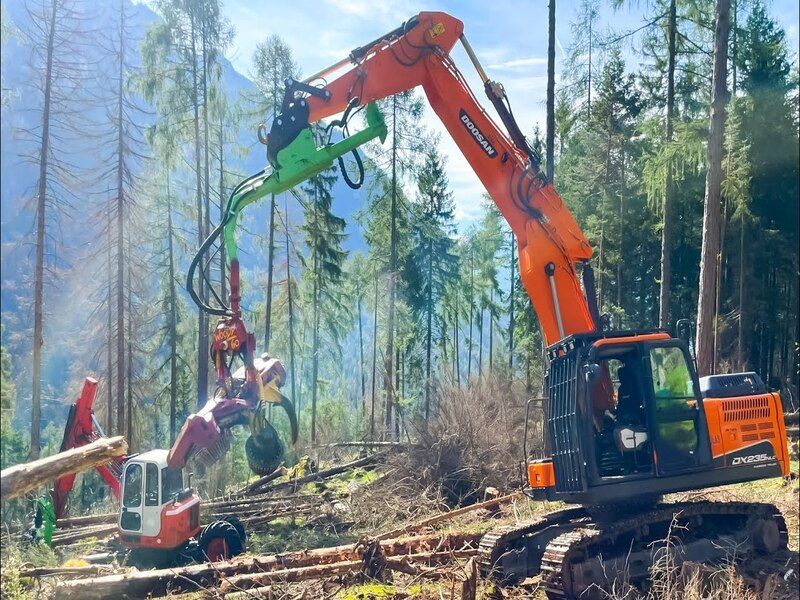 PSR 2007-2013 (FEASR): Misura 221 "Mantenimento di superfici imboschite" / Sviluppo Rurale/bando 2026