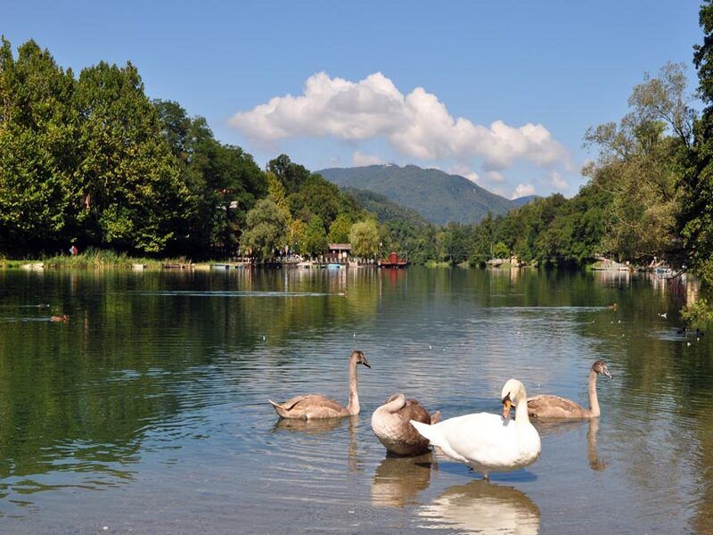 Contributi regionali a favore degli enti gestori delle riserve naturali