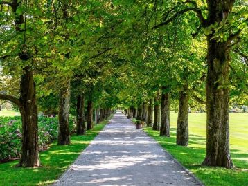 Associazioni Fondiarie Smart / Life 2026