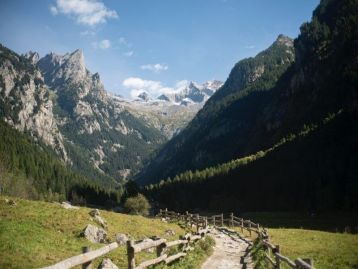 PSN/PAC 2023-2027 “Sostegno zone con svantaggi naturali montagna” - Sviluppo Rurale/bando 2026