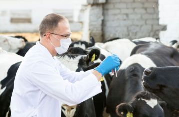 FEC 19/2026 SERVIZIO DI ATTIVITA' DI CONTROLLO PRESSO I MACELLI BOVINI SULLA CORRETTA CLASSIFICAZIONE DELLE CARCASSE E LA CORRETTA RILEVAZIONE DEI PREZZI AI SENSI DEL REG. UE 2013/1308 - REG. UE 1182/2017 E DEL DECRETO MIPAAF 24 OTTOBRE 2018