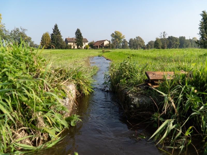 PSR 2007-2013 (FEASR): Misura 214 "Mantenimento  funzionale per le zone umide Lombardia" - Sviluppo Rurale/bando 2026